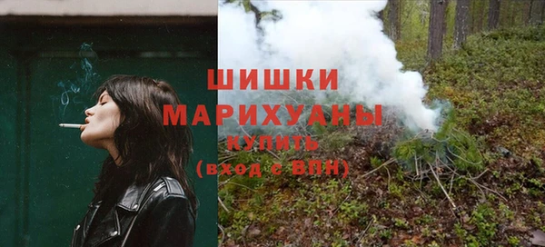 ПСИЛОЦИБИНОВЫЕ ГРИБЫ Корсаков