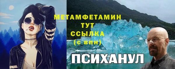 прущие крисы Козловка