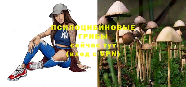 MDMA Кодинск