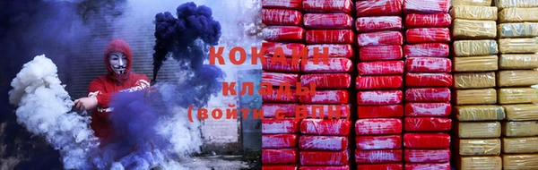 прущие крисы Козловка