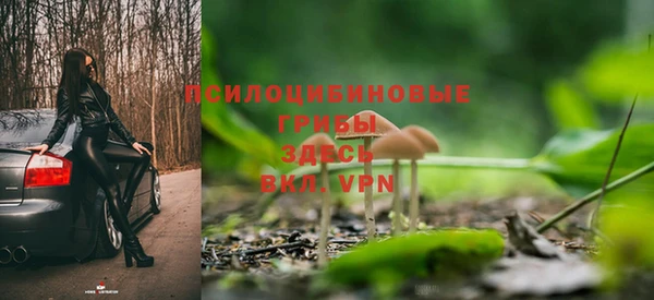 mdpv Кинешма