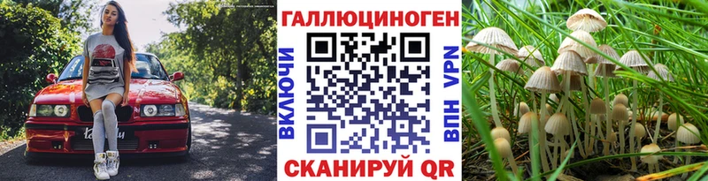 наркошоп Малгобек Псилоцибиновые грибы ЛСД