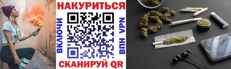 Бошки Шишки SATIVA & INDICA  купить наркотики сайты  Малгобек 